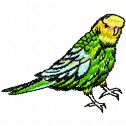 Parrots Embroidery Design 10